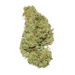 Weeco HK 20/1 Hindu Kush